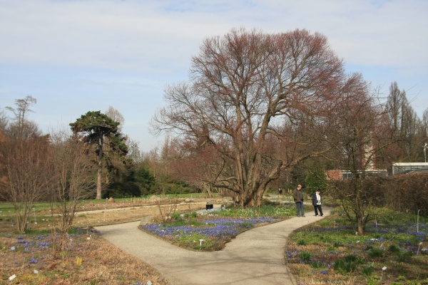 Fruehling 2009   049.jpg